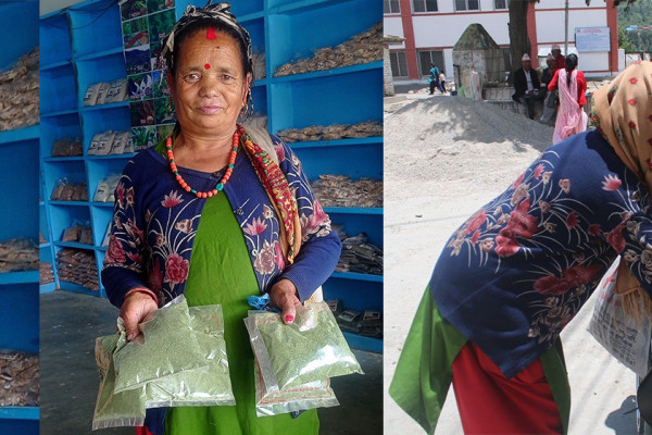 छाेराकाे उपचारका लागि सिस्नु बेच्दै ५९ वर्षीया कर्मकली